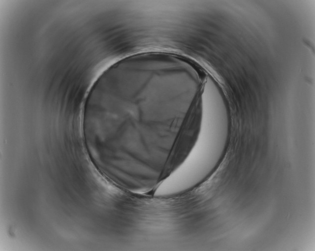 X0000095551246200801111447