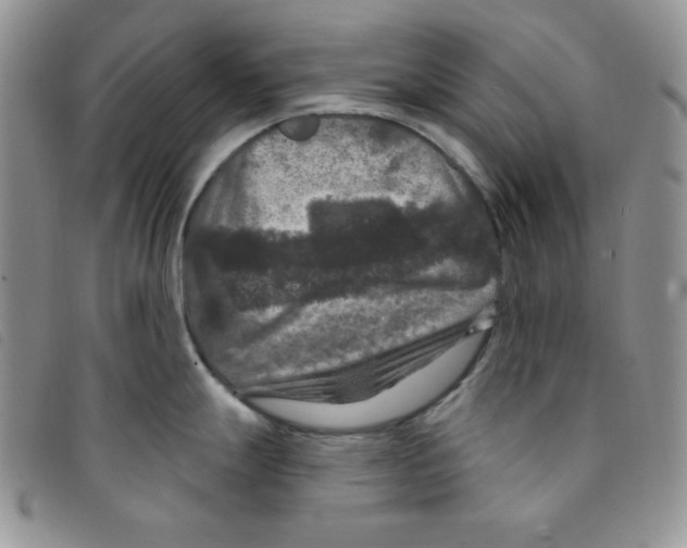 X0000095551247200801111447