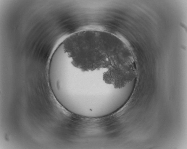 X0000095551248200801111447