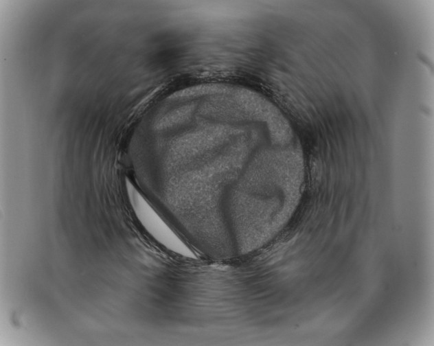 X0000095551250200801111446