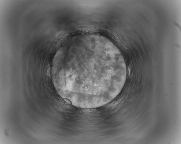 X0000095551251200801111446