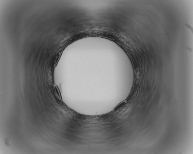 X0000095551252200801111446