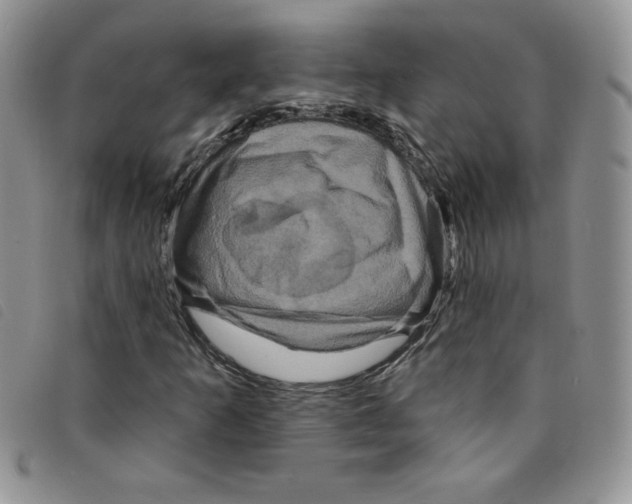 X0000095551253200801111446