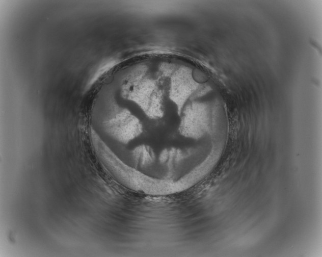 X0000095551255200801111446