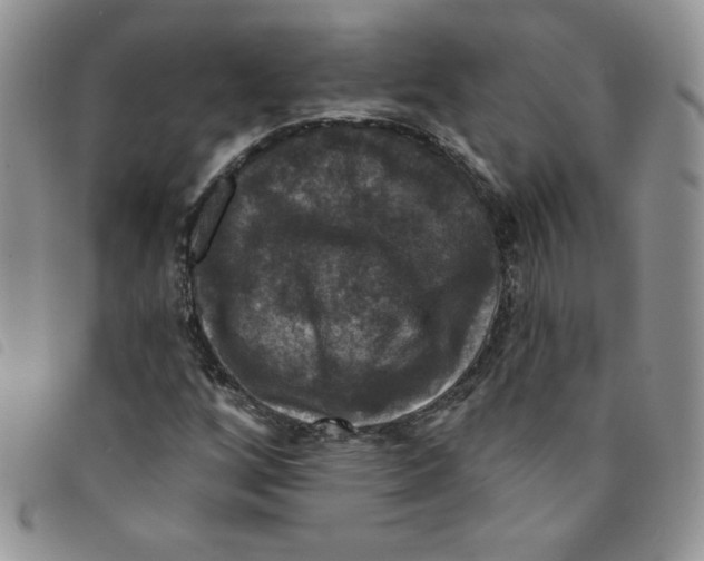 X0000095551256200801111446