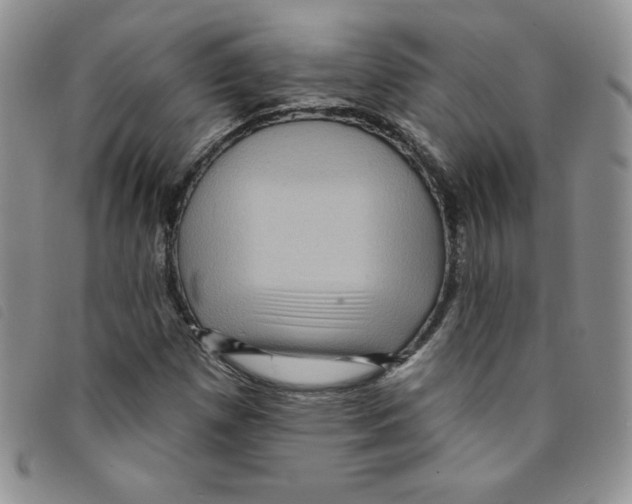 X0000095551257200801111446