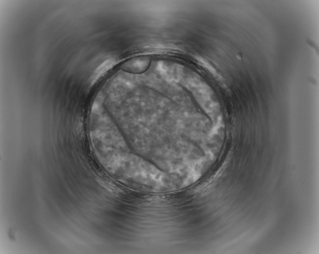 X0000095551259200801111446