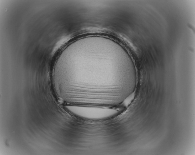 X0000095551261200801111446