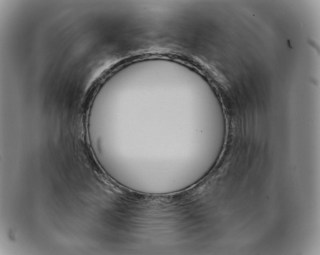 X0000095551262200801111446