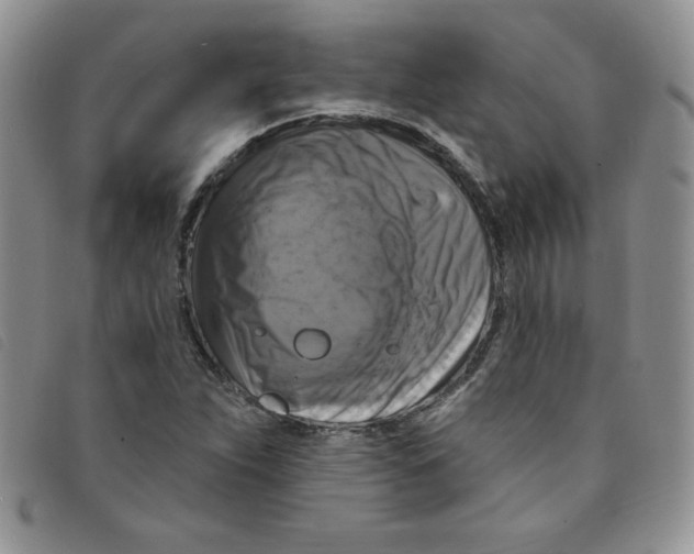 X0000095551263200801111446