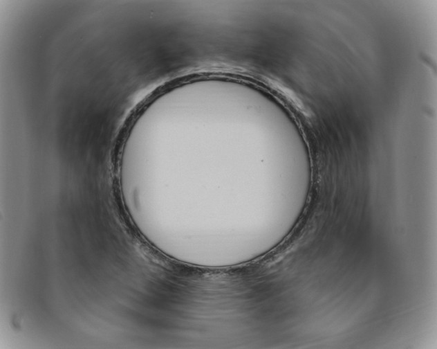 X0000095551264200801111446