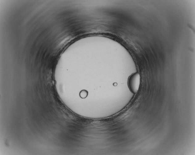 X0000095551265200801111446