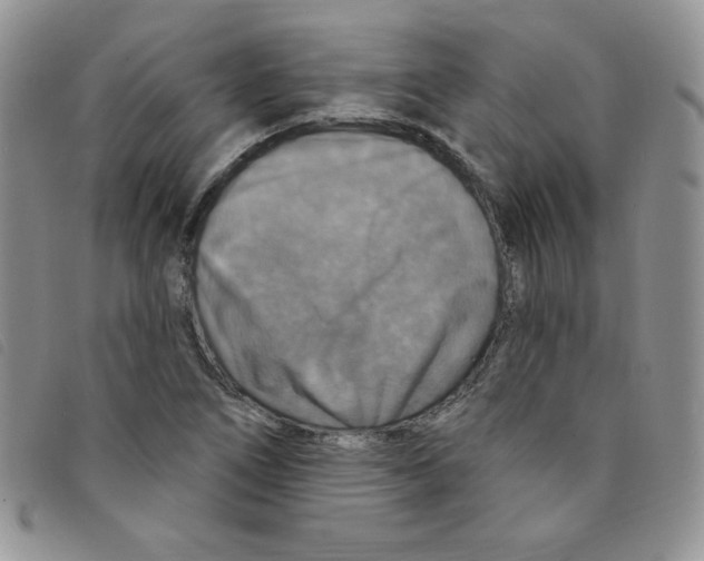 X0000095551266200801111446