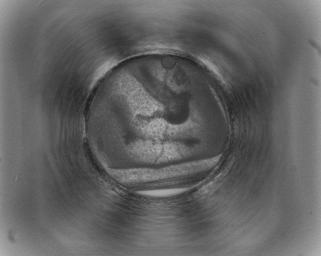 X0000095551267200801111446