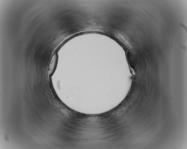 X0000095551268200801111446