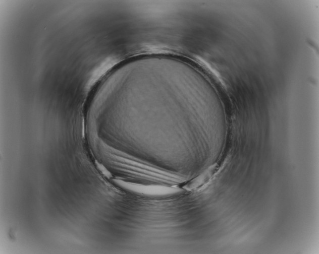 X0000095551269200801111446