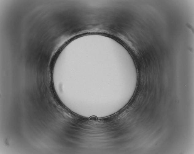 X0000095551270200801111446