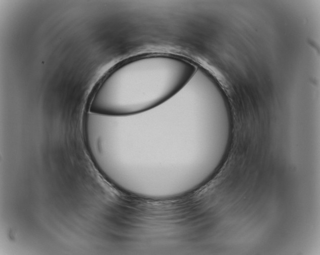 X0000095551272200801111446