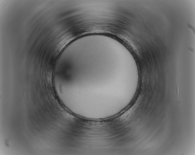 X0000095551273200801111446