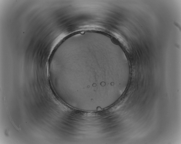 X0000095551275200801111446