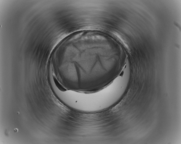 X0000095551276200801111446