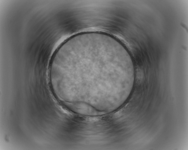 X0000095551278200801111446