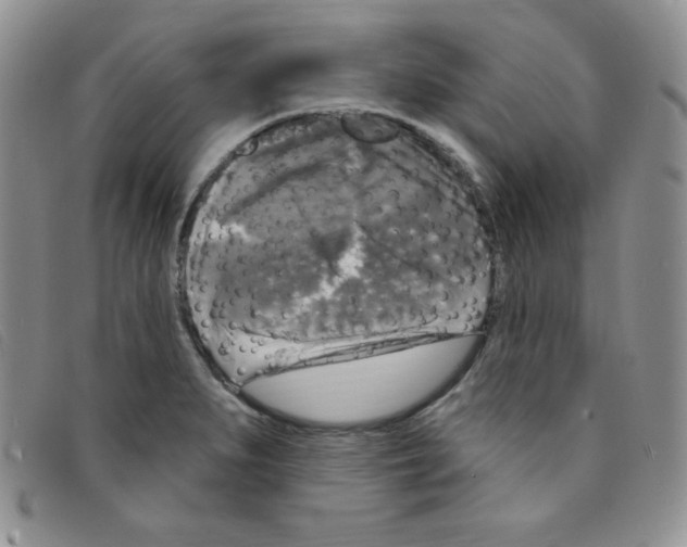 X0000095551279200801111446