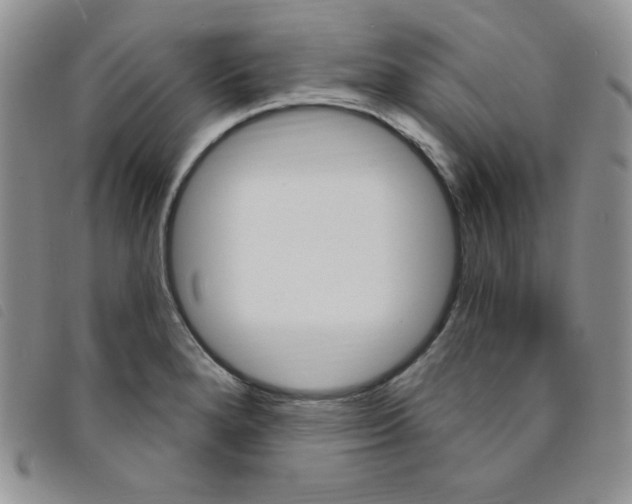 X0000095551280200801111445