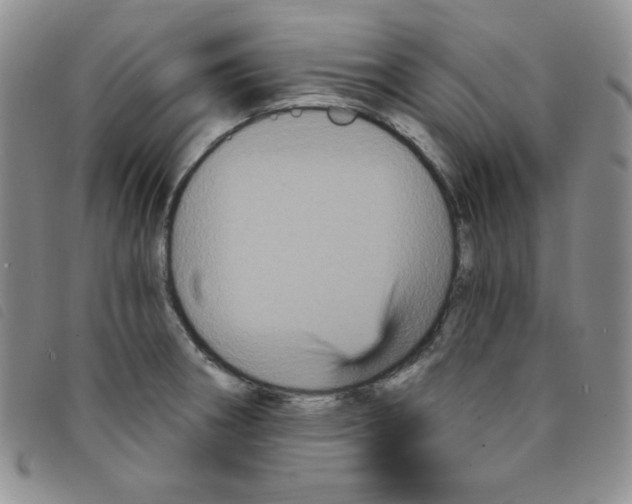 X0000095551282200801111445