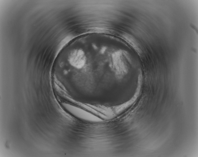 X0000095551283200801111445