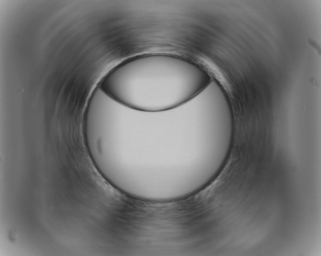 X0000095551284200801111445