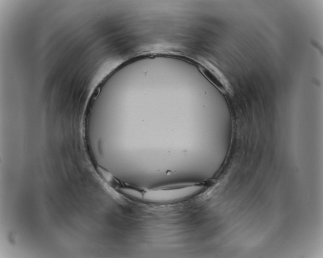 X0000095551285200801111445