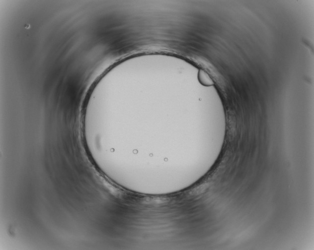 X0000095551286200801111445