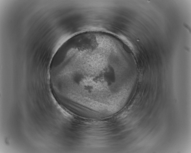 X0000095551287200801111445