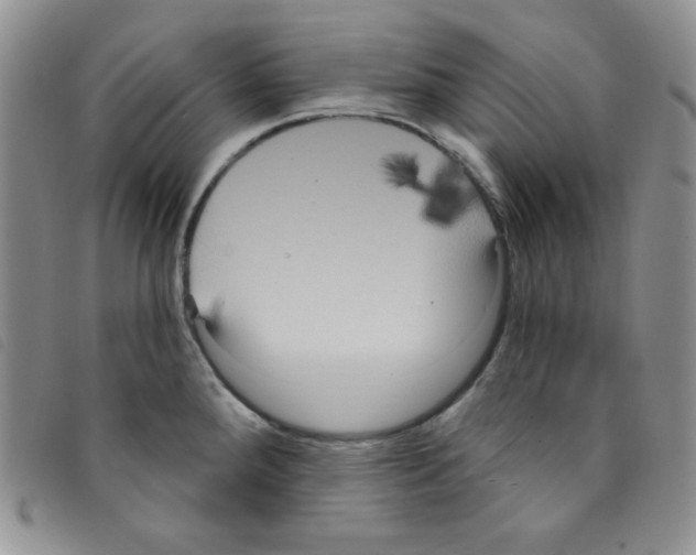 X0000095551288200801111445