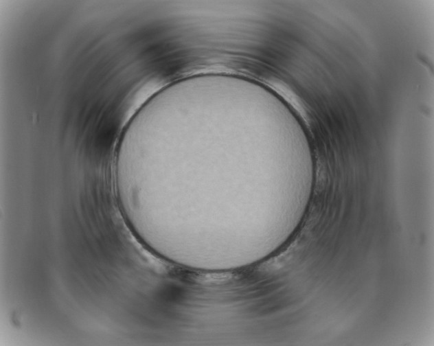 X0000095551290200801111445