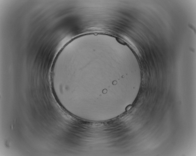 X0000095551291200801111445