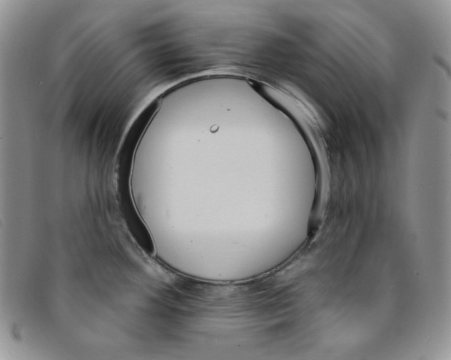 X0000095551292200801111445