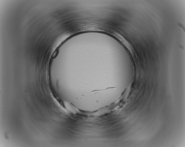 X0000095551293200801111445