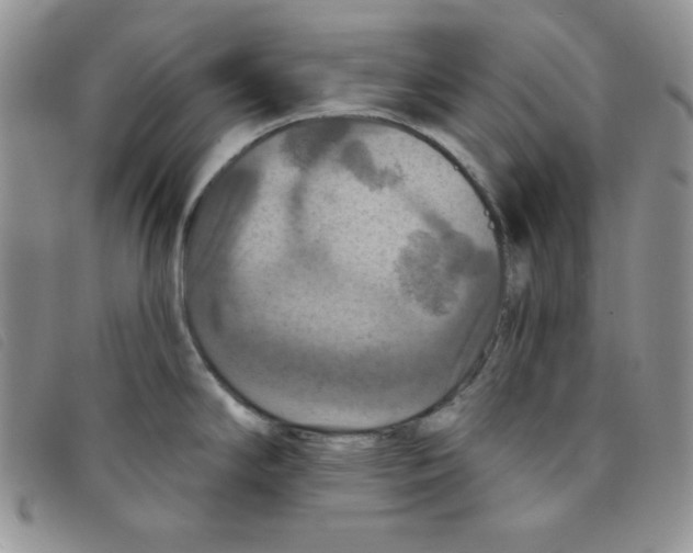 X0000095551294200801111445