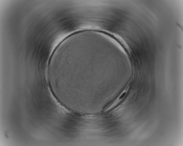 X0000095551295200801111445