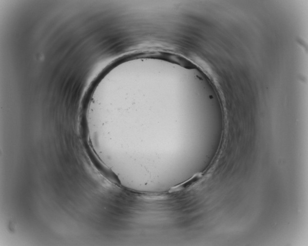 X0000095551296200801111445