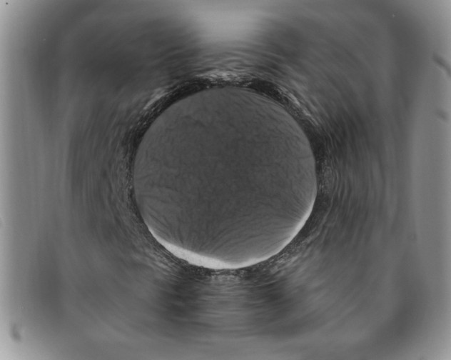 X0000095551297200801111445