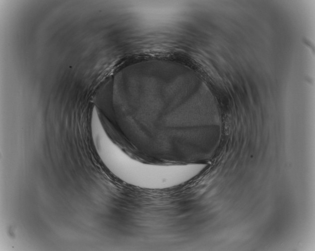 X0000095551298200801111445