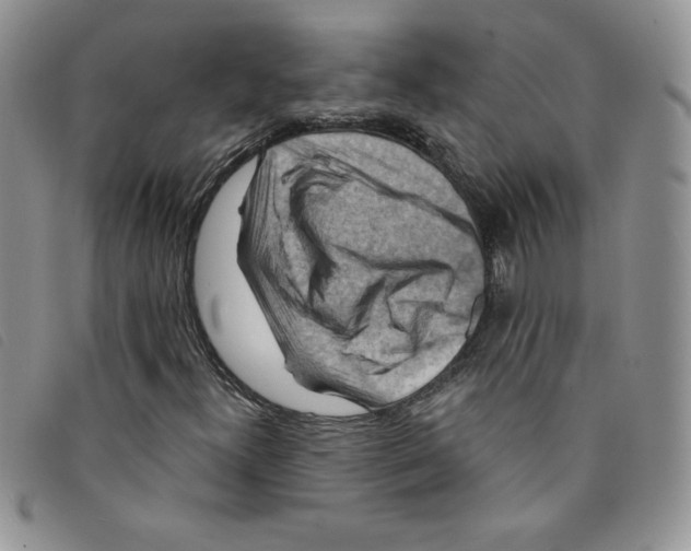 X0000095551300200801111445