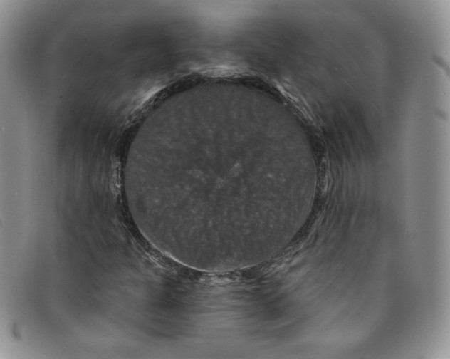 X0000095551301200801111445