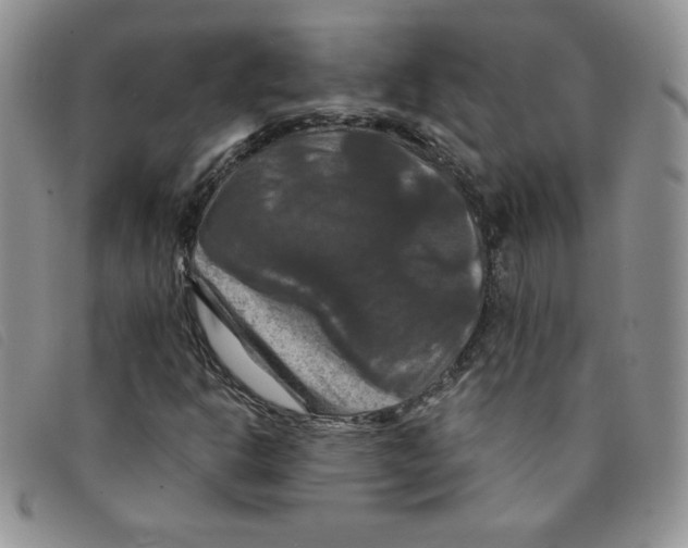 X0000095551302200801111445