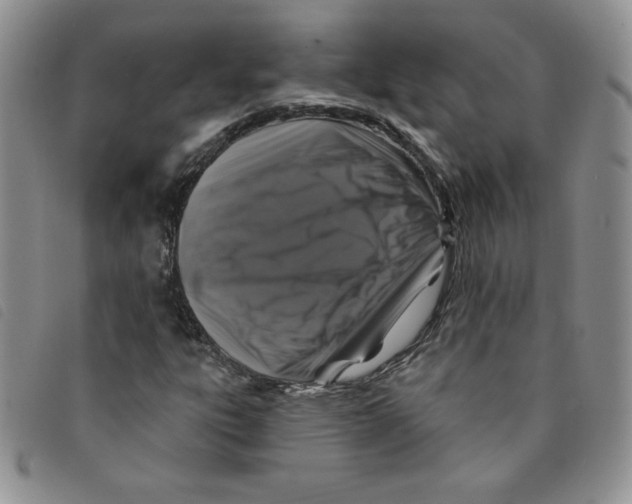 X0000095551303200801111445