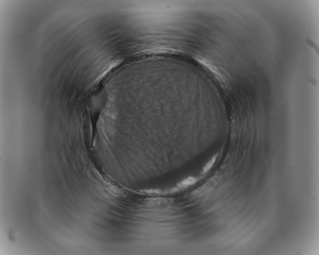 X0000095551305200801111445