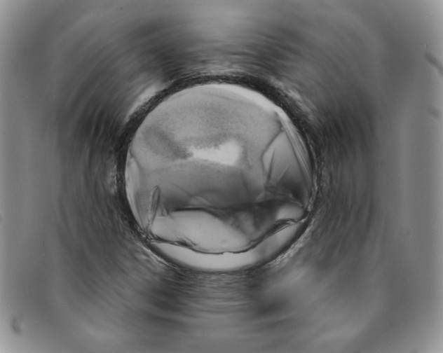 X0000095551306200801111445